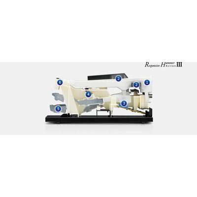 kAWAI CN-201B Negro