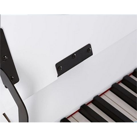 Pack ProKeys S-65 Blanco Pulido Piano