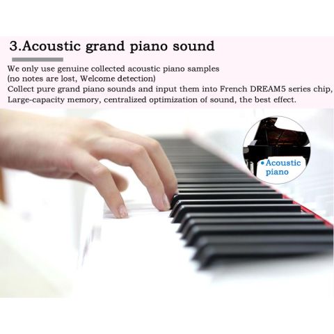Pack ProKeys S-65 Negro Pulido Piano