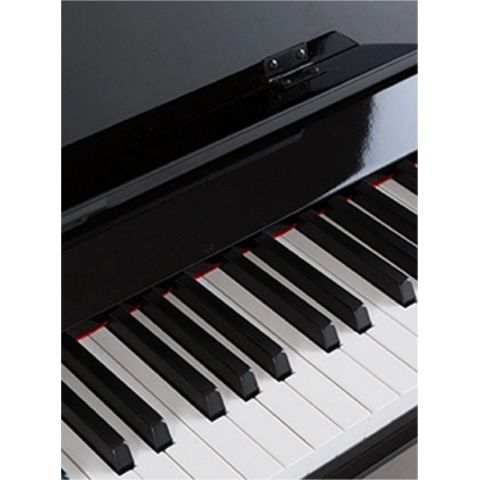 ProKeys S-65 Negro Pulido Piano