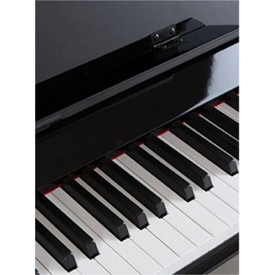 ProKeys S-65 Negro Pulido Piano