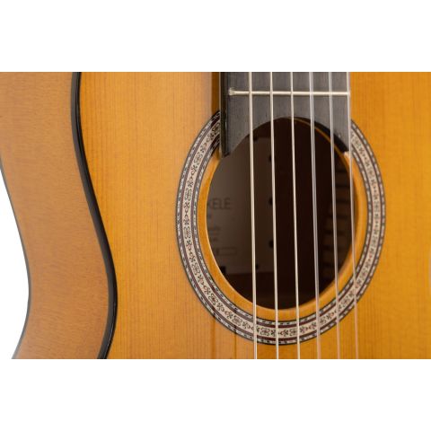 Guitalele flamneco con golepador y funda. Admira Flamenkele. Guitarra flamenca de viaje