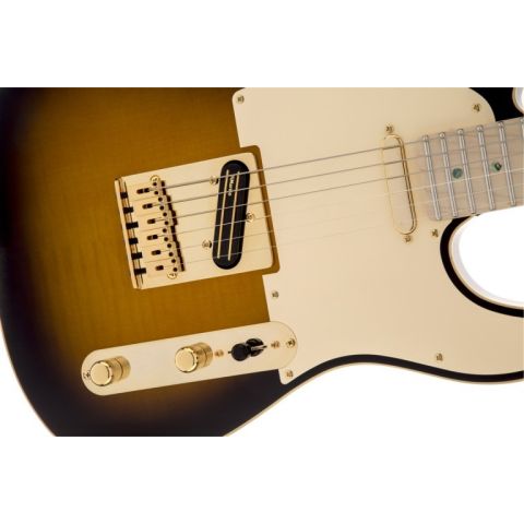 Fender Richie Kotzen Telecaster®, Maple Fingerboard, Brown Sunburst