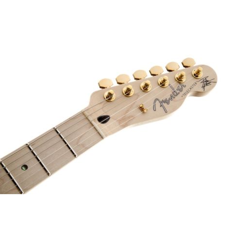 Fender Richie Kotzen Telecaster®, Maple Fingerboard, Brown Sunburst