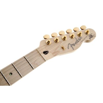 Fender Richie Kotzen Telecaster®, Maple Fingerboard, Brown Sunburst