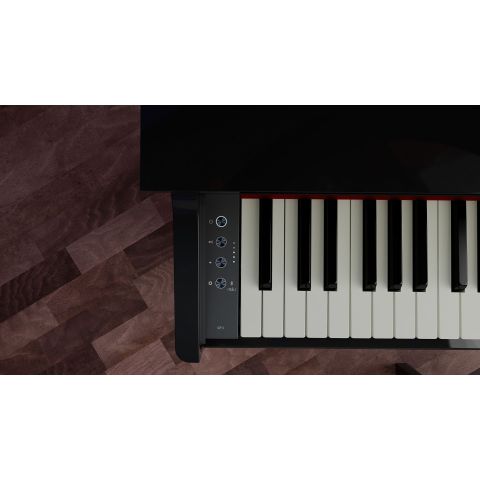ROLAND GP-3 COLIN