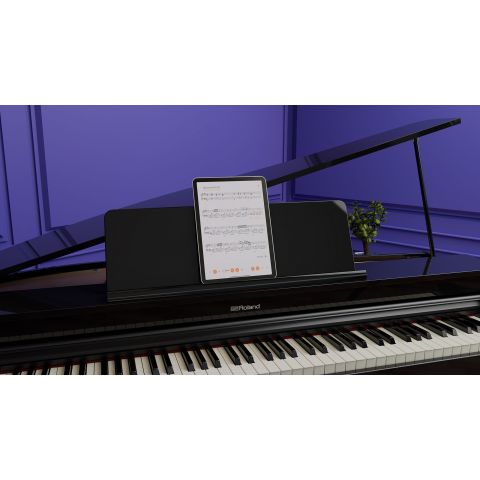ROLAND GP-3 COLIN