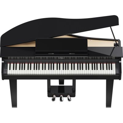 ROLAND GP-3 COLIN