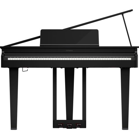 ROLAND GP-3 COLIN Negro Pulido