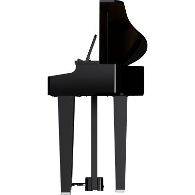 ROLAND GP-3 COLIN