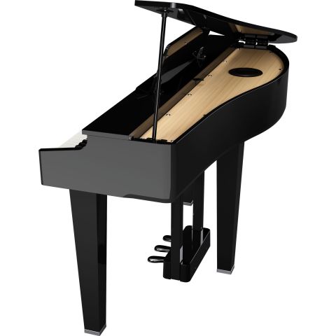 ROLAND GP-3 COLIN Negro Pulido
