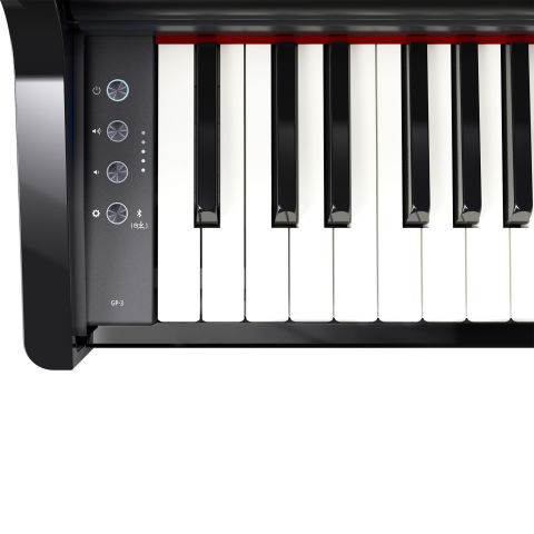 ROLAND GP-3 COLIN