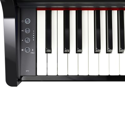 ROLAND GP-3 COLIN