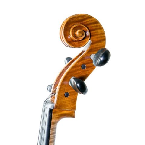 Cello Heritage Basic HB1710S modelo...