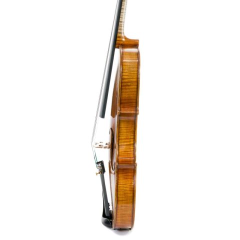 Violín  Mr. Danio Wu, Master...