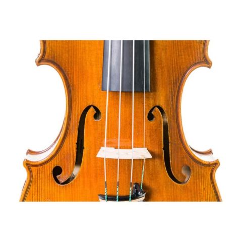 Violín  Mr. Danio Wu, Master...