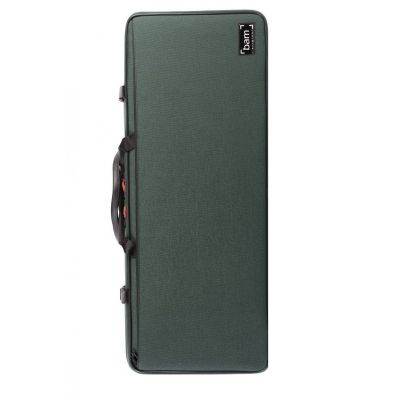 Estuche Bam para violín 2005S 4/4 Verde