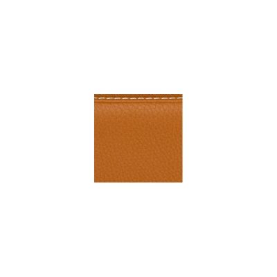 Estuche para 2 arcos de contrabajo alemán Bam ET7003XL L'Étoile Hightech Chocolate