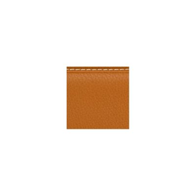 Estuche violín Bam ET2000XLGR Slim L'Étoile Hightech Cognac