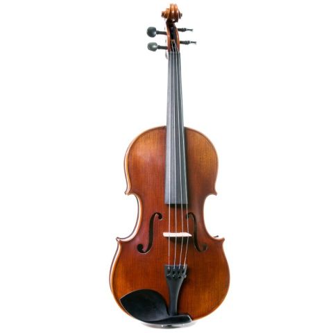 Viola Corina Quartetto 14''
