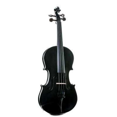 Violín Stentor Harlequin 4/4 4/4 Negro 2