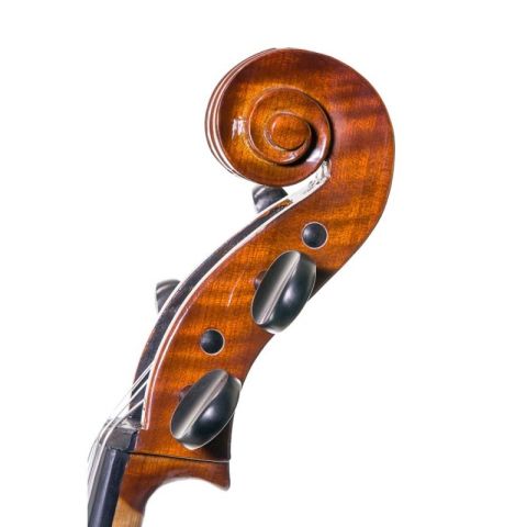 Cello Stentor Conservatoire con arco...