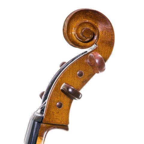 Stentor cello STUDENT I 1/2
