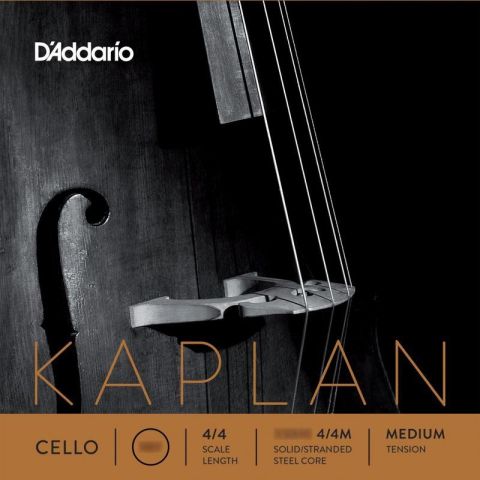 DADDARIO KS511 KAPLAN SOLUTIONS LA...