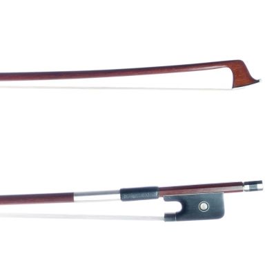 Corina YAC-02 15"-16" Arco viola