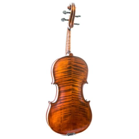 Gliga Gama I 16,5 Viola