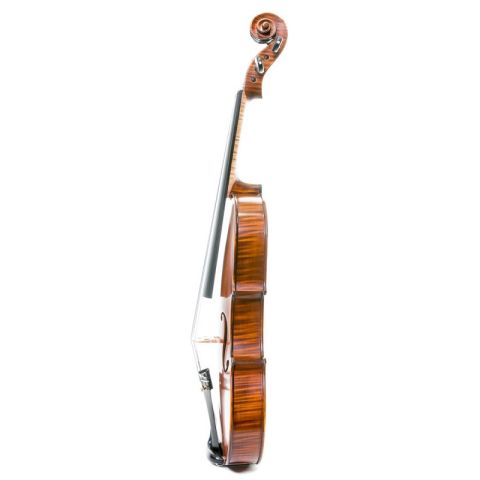 Gliga Gama I 16,5 Viola