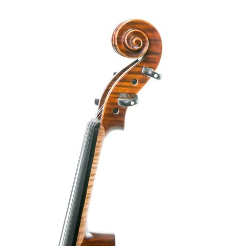 Gliga Gama I 16,5 Viola