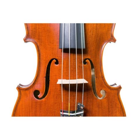 Gliga Gama I 16,5 Viola