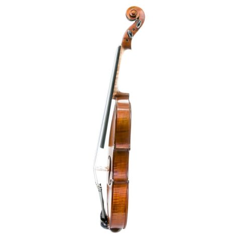 Gliga Gems I 16,5" Viola