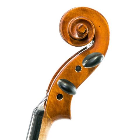 Gliga Gems II 16,5" Viola