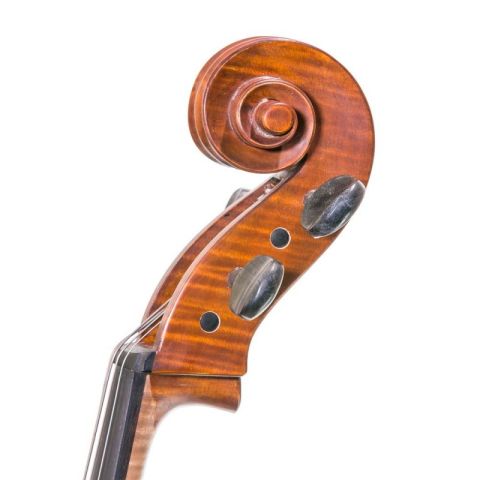 Gliga Gems II 3/4 antiqued Cello
