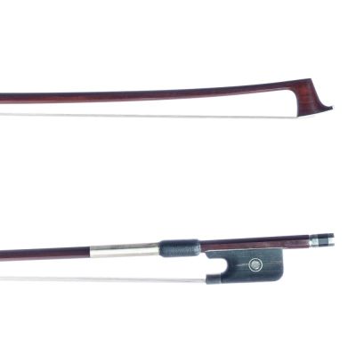 Rapsody VA-50 13"-14" Arco viola