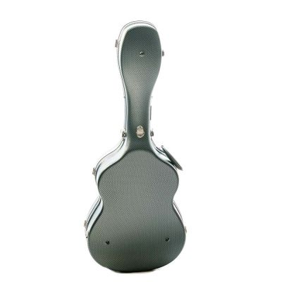Rapsody Armonia Estuche guitarra clásica ABS gris 2