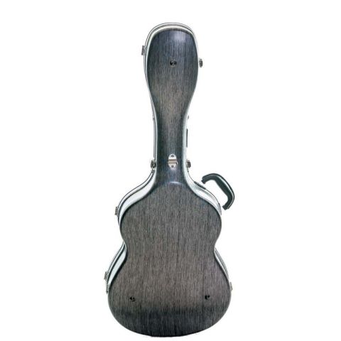Rapsody Armonia Estuche guitarra...