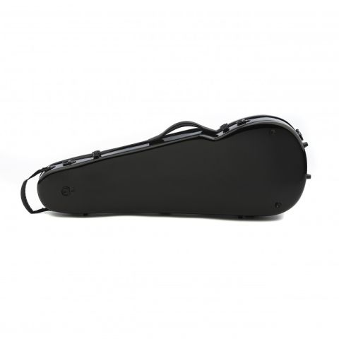 Rapsody Rainbow  Estuche viola negro...