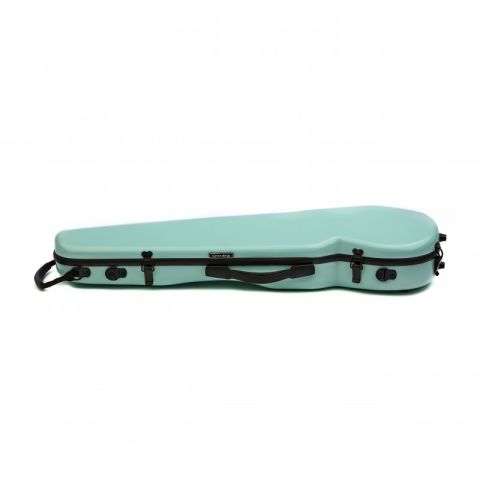Rapsody Rainbow 4/4 Estuche violín menta