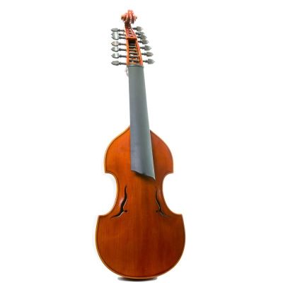 Rapsody DAM600 Viola de gamba D'Amore