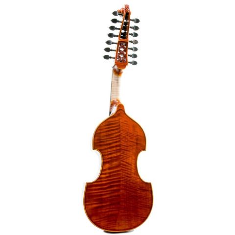 Rapsody DAM600 Viola de gamba D'Amore