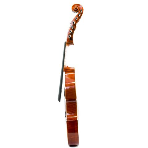 Rapsody DAM600 Viola de gamba D'Amore