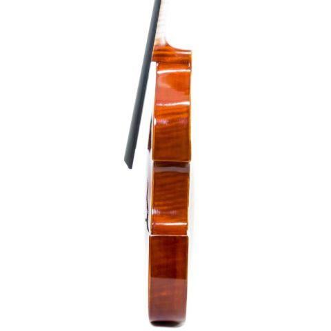 Rapsody DAM600 Viola de gamba D'Amore