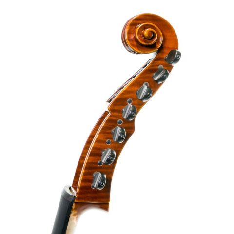 Rapsody DAM600 Viola de gamba D'Amore
