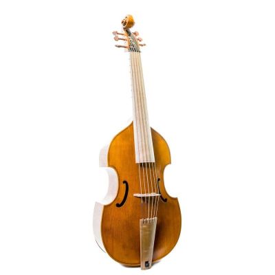 Rapsody G10 360mm Viola de gamba