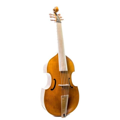 Rapsody G10 360mm Viola de gamba