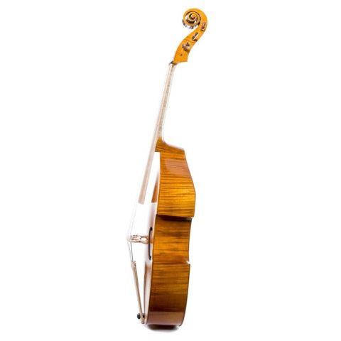 Rapsody G10 360mm Viola de gamba