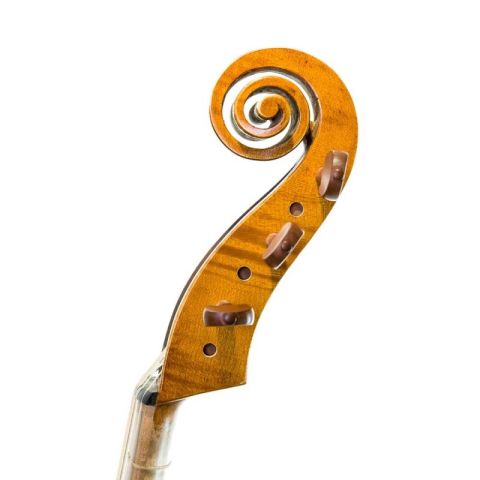 Rapsody G10 360mm Viola de gamba